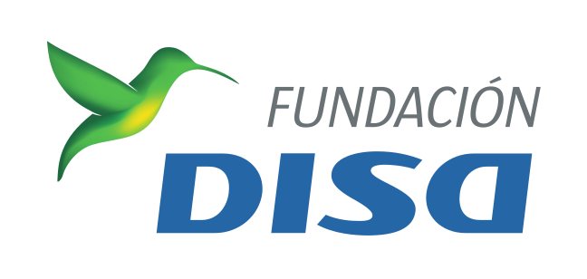 Escuelita de Fútbol DISA